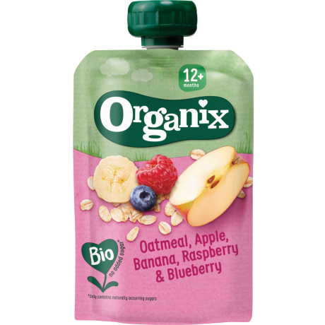 Oatmeal Apple Banana Raspberry and Blueberry Pouch