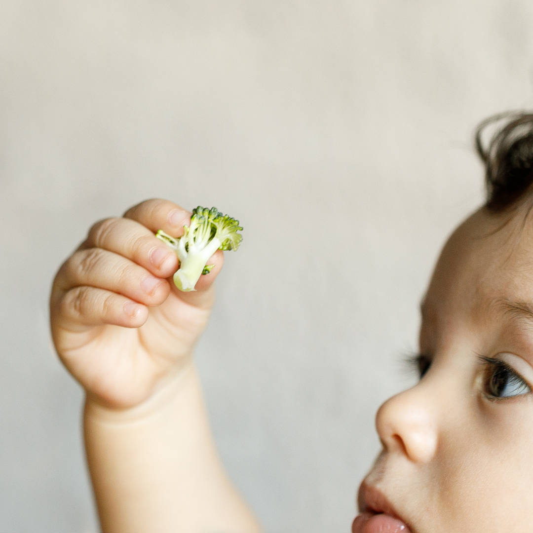 kind kijkt naar een stukje broccoli