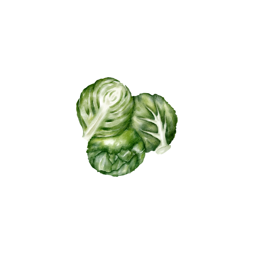spruitjes